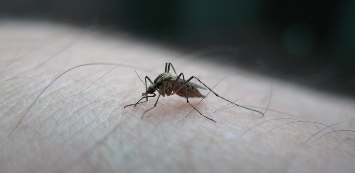 Wereld Malaria Dag